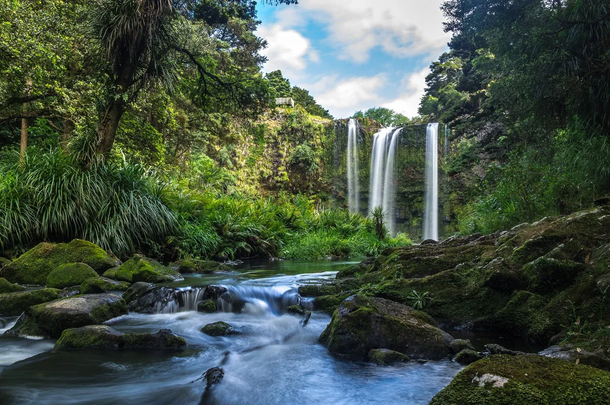 Whangarei Falls