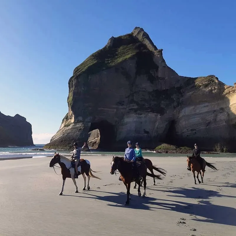 Wharariki Beach Horse Trek